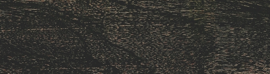 實(shí)木領(lǐng)袖地板-落腺豆-TL5