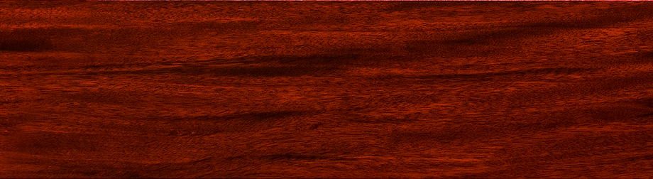 實(shí)木領(lǐng)袖地板-落腺豆-T9